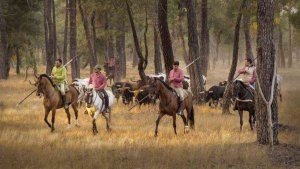 Los encierros de Cuéllar, Premio Tauromaquia de Castilla y León 2018 Los encierros de Cuéllar, Premio Tauromaquia de Castilla y León 2018