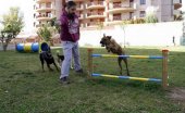 Compromiso municipal para mejorar dotación de pipican Compromiso municipal para mejorar dotación de pipican