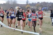 El cross de Soria, este jueves, en Teledeporte El cross de Soria, este jueves, en Teledeporte