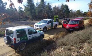 Decomisan 95 kilos de níscalos en los Pinares llanos Decomisan 95 kilos de níscalos en los Pinares llanos