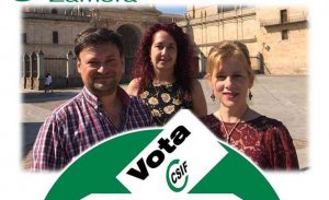 CSIF vuelve a ganar las elecciones en la enseñanza no universitaria CSIF vuelve a ganar las elecciones en la enseñanza no universitaria
