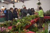 Oncala celebra su XI Feria del Acebo y adorno navideño Oncala celebra su XI Feria del Acebo y adorno navideño