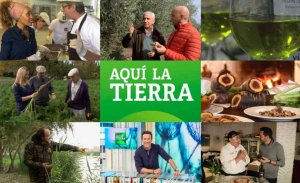 El cardo rojo de Ágreda, en el programa televisivo "Aquí la Tierra" El cardo rojo de Ágreda, en el programa televisivo "Aquí la Tierra"