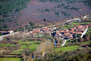 Salduero y Molinos de Duero regulan sus aprovechamientos micológicos Salduero y Molinos de Duero regulan sus aprovechamientos micológicos