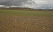 El zabro contará con zona de vigilancia en la provincia El zabro contará con zona de vigilancia en la provincia