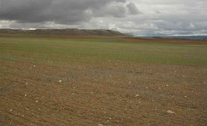 El zabro contará con zona de vigilancia en la provincia El zabro contará con zona de vigilancia en la provincia