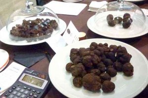 Mercatrufas abre de nuevo sus puertas Mercatrufas abre de nuevo sus puertas
