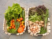 La cesta de la compra ecológica es el doble de cara que la normal La cesta de la compra ecológica es el doble de cara que la normal