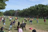 Bases del concurso del cartel de las fiestas de San Juan 2019 Bases del concurso del cartel de las fiestas de San Juan 2019