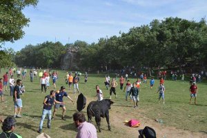 Bases del concurso del cartel de las fiestas de San Juan 2019 Bases del concurso del cartel de las fiestas de San Juan 2019