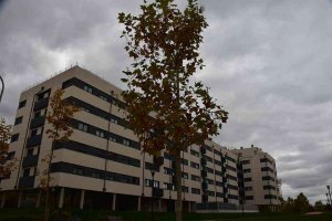 Castilla y León, quinta comunidad en esfuerzo en alquiler de vivienda Castilla y León, quinta comunidad en esfuerzo en alquiler de vivienda