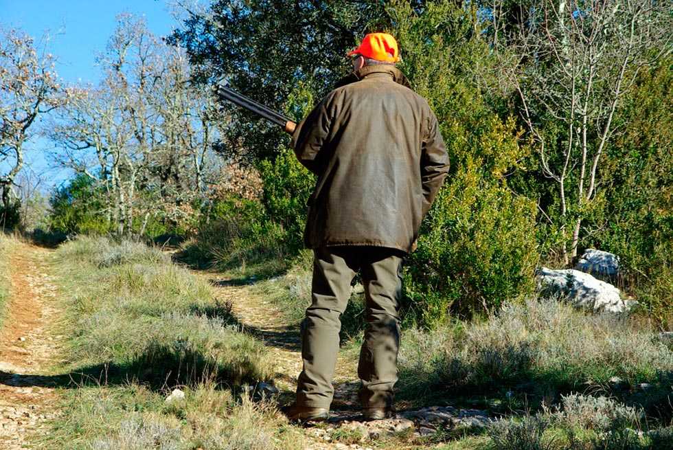 Seis alternativas para disfrutar hoy sábado en Soria Seis alternativas para disfrutar hoy sábado en Soria