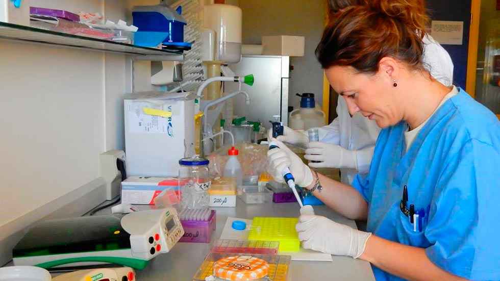 Educación destina 2,6 millones para equipamiento cientifico Educación destina 2,6 millones para equipamiento cientifico