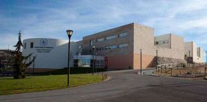 El campus acoge la fase local de la XIV Olimpiada de Biología El campus acoge la fase local de la XIV Olimpiada de Biología