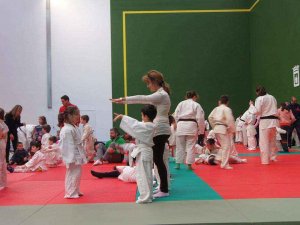 Campeonato regional de Edad y provincial de judo Campeonato regional de Edad y provincial de judo