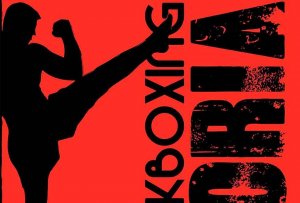 Nueva cita competitiva para el club Kickboxing Soria Nueva cita competitiva para el club Kickboxing Soria