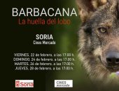 El lobo ibérico sigue campeando en Soria El lobo ibérico sigue campeando en Soria