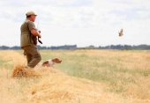Suspendido cautelarmente el decreto que regula las especies cinegéticas Suspendido cautelarmente el decreto que regula las especies cinegéticas