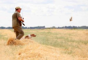Suspendido cautelarmente el decreto que regula las especies cinegéticas Suspendido cautelarmente el decreto que regula las especies cinegéticas