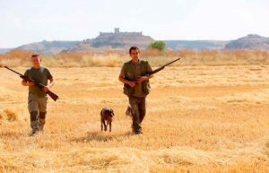 COAG señala que TSJCyL da razón a los que prefieren la "selva" COAG señala que TSJCyL da razón a los que prefieren la "selva"