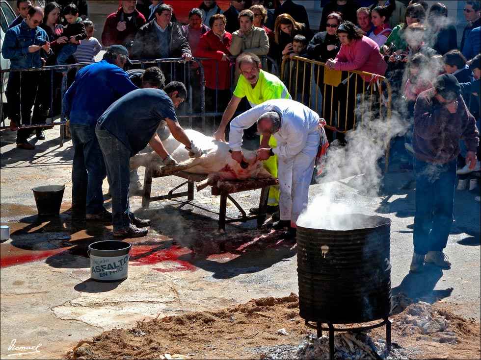 Arcos de Jalón celebra las XX Jornadas de la Matanza Arcos de Jalón celebra las XX Jornadas de la Matanza