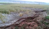 ASAJA pide que incidencias climatológicas reduzcan los módulos fiscales ASAJA pide que incidencias climatológicas reduzcan los módulos fiscales