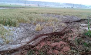 ASAJA pide que incidencias climatológicas reduzcan los módulos fiscales ASAJA pide que incidencias climatológicas reduzcan los módulos fiscales
