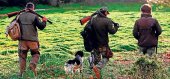 Subasta de caza becada en Covaleda Subasta de caza becada en Covaleda