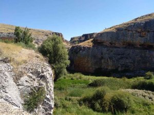 Adjudicada el aprovechamiento de caza de los montes de Vildé Adjudicada el aprovechamiento de caza de los montes de Vildé