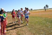 Atletas sorianos y del CAEP, en el Nacional de Campo a Través Atletas sorianos y del CAEP, en el Nacional de Campo a Través
