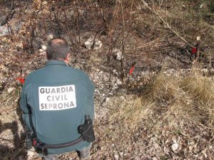 Investigan un hombre en la ribera por presunto incendio forestal Investigan un hombre en la ribera por presunto incendio forestal