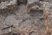 La Junta restaurará cerámicas monocromas de Numancia La Junta restaurará cerámicas monocromas de Numancia