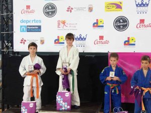 Destacada participación de los judokas sorianos en Palencia Destacada participación de los judokas sorianos en Palencia