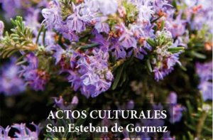 Actividades culturales en la Semana Santa de San Esteban de Gormaz Actividades culturales en la Semana Santa de San Esteban de Gormaz