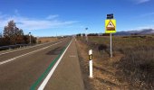 Un sistema reduce los accidentes con animales en las carreteras Un sistema reduce los accidentes con animales en las carreteras