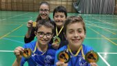 Fantásticos resultados del Club Valonsadero Bádminton Fantásticos resultados del Club Valonsadero Bádminton