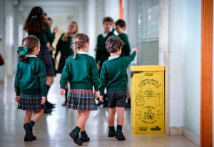 Naturaliza, una mirada ambiental en las aulas, abre inscripciones Naturaliza, una mirada ambiental en las aulas, abre inscripciones
