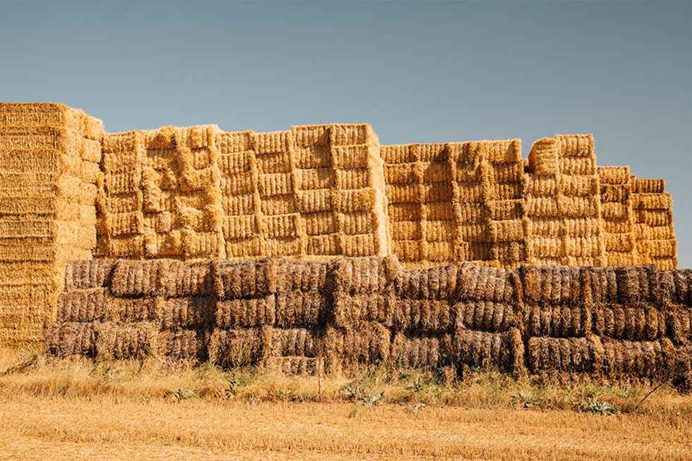 Los campos de Soria atraviesan fronteras con la Ruta 234 Los campos de Soria atraviesan fronteras con la Ruta 234