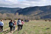 Buena participación en la XII Marcha Senderista de Villar del Río Buena participación en la XII Marcha Senderista de Villar del Río