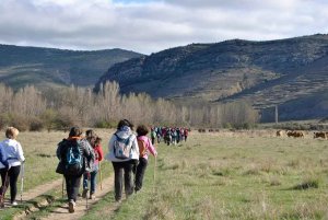 Buena participación en la XII Marcha Senderista de Villar del Río Buena participación en la XII Marcha Senderista de Villar del Río