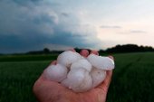 ASAJA rechaza las posibles subidas en líneas de Agroseguro ASAJA rechaza las posibles subidas en líneas de Agroseguro