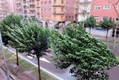 Un centenar de incidentes por los fuertes vientos en la Comunidad Un centenar de incidentes por los fuertes vientos en la Comunidad