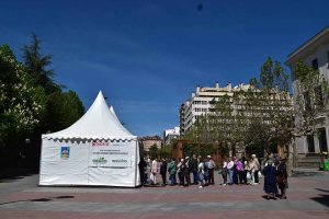 Lo que no puede perderse en Soria este fin de semana Lo que no puede perderse en Soria este fin de semana