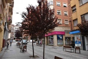 Detenido el joven que agredió con machete a otro en Soria Detenido el joven que agredió con machete a otro en Soria