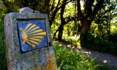 Dos conferencias sobre el Camino de Santiago Dos conferencias sobre el Camino de Santiago