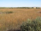 ASAJA califica de “buena noticia” la prórroga de los contratos agroambientales ASAJA califica de “buena noticia” la prórroga de los contratos agroambientales
