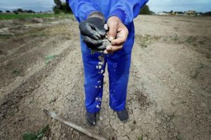 La Junta refuerza su apoyo a los seguros agrarios La Junta refuerza su apoyo a los seguros agrarios