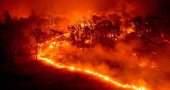 Peligro medio de incendios en toda la Comunidad Peligro medio de incendios en toda la Comunidad