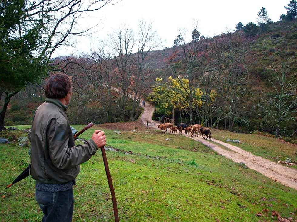 Soria acoge el III Foro Cultura y Ruralidades Soria acoge el III Foro Cultura y Ruralidades