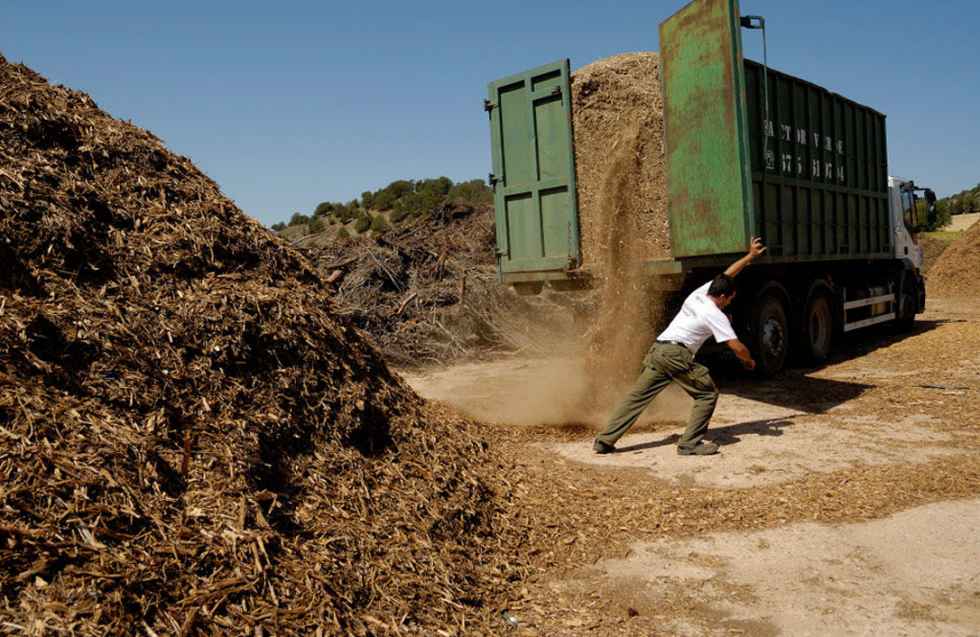 Castilla y León recibe 39,1 millones en la Sectorial de Agricultura Castilla y León recibe 39,1 millones en la Sectorial de Agricultura
